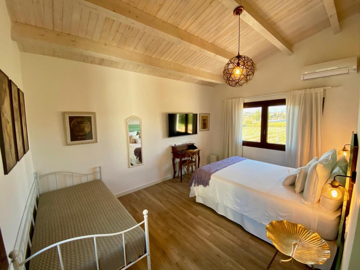 Bed & Breakfast Wine & Cooking Penedes Pla del Panadés Buitenkant foto