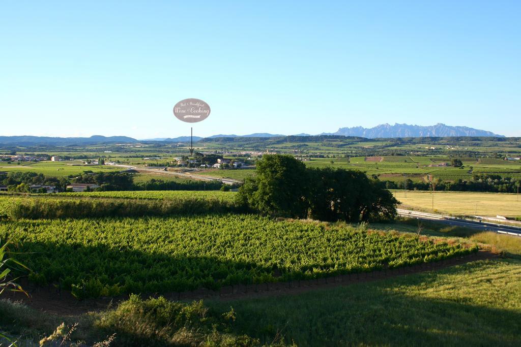 Bed & Breakfast Wine & Cooking Penedes Pla del Panadés Buitenkant foto